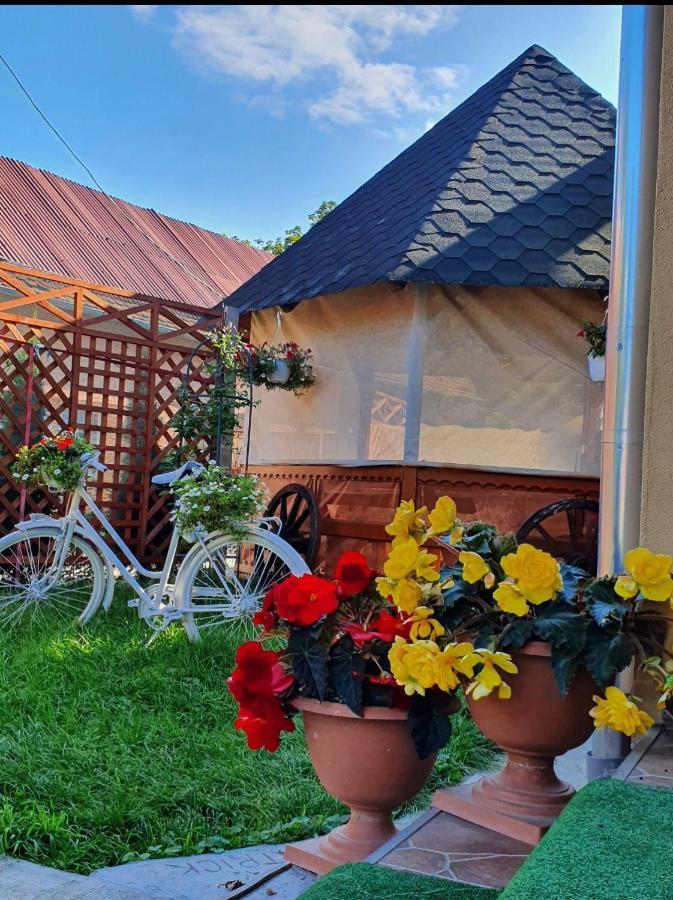 Отель Casa Ardeleana Ucea Ucea de Sus Экстерьер фото