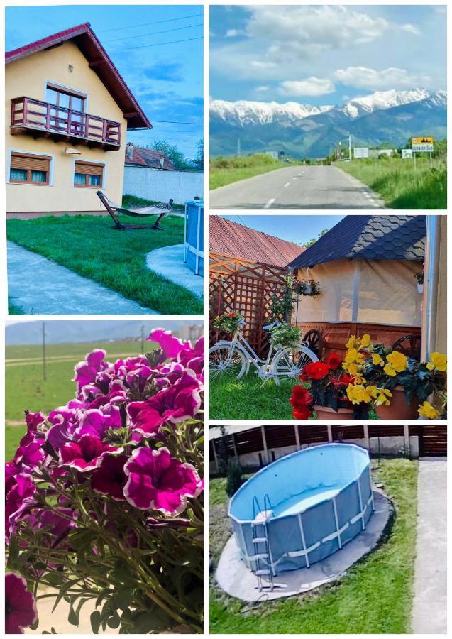 Отель Casa Ardeleana Ucea Ucea de Sus Экстерьер фото